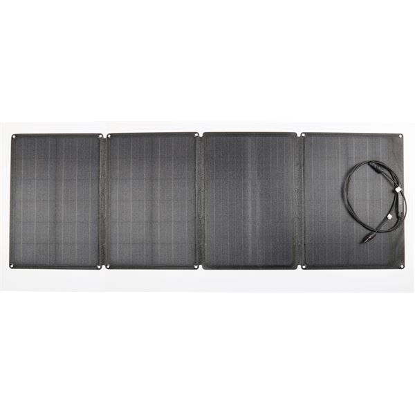 Pannello Solare 110w - Ecoflow - ECW.50022004