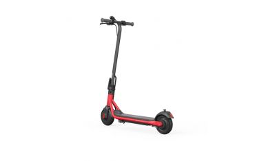 Ninebot Monopattino Elettrico Zing C15e Powered By Segway - Segway-Ninebot - SGW.AA.00.0012.25
