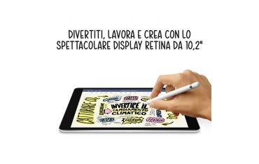 Ipad 9th 10.2\" Wi-fi + Cell 256gb Grigio Siderale - Apple - APP.MK4E3TY/A