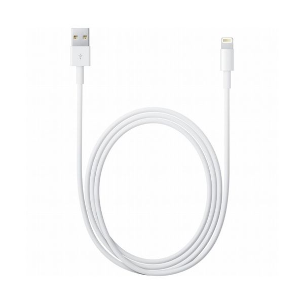 Cavo Lightning Apple A Usb (0.5 M) - Apple - APP.ME291ZM/A