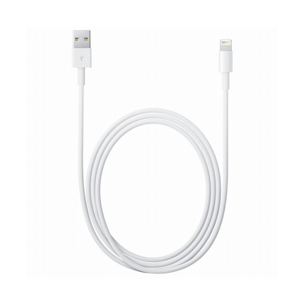 Cavo Lightning Apple A Usb (2m.) - Apple - APP.MD819ZM/A