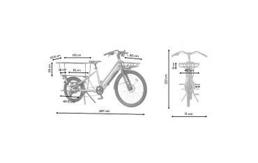 Ebike 36v 10ah Cargo C3 - Green Nilox Urban Fighter - 30NXEBCLTV2