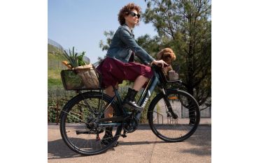 Ebike 36v 10ah 28x1.75p Cargo Light Nilox Urban Fighter - 30NXEBCLV1