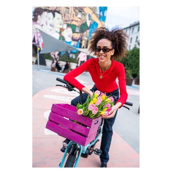 Ebike 36v 13ah Cargo Mid Motor C2 Nilox Urban Fighter - 30NXEBCMMV1