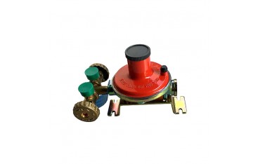 Centralina Gas 7 Kg/h Clesse - 006725AA