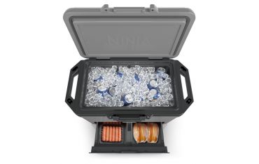 Frigo Portatile Ninja Frostvault 47lt - Grigio - Ninja - NNJ.FB151EUGY