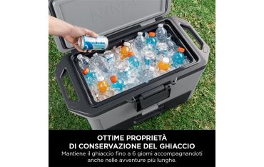 Frigo Portatile Ninja Frostvault 47lt - Grigio - Ninja - NNJ.FB151EUGY