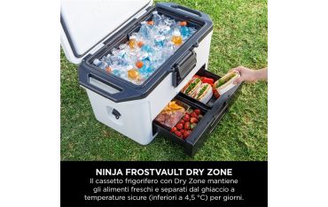 Frigo Portatile Ninja Frostvault 47lt - Bianco - Ninja - NNJ.FB151EUWH