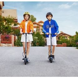 Monopattino Elettrico Pieghevole Segway ES2 - Grigio scuro