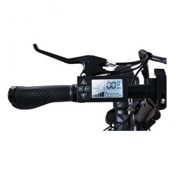 E-Bike The One NITRO 250W Brushless 36V 25km/h Forest Green